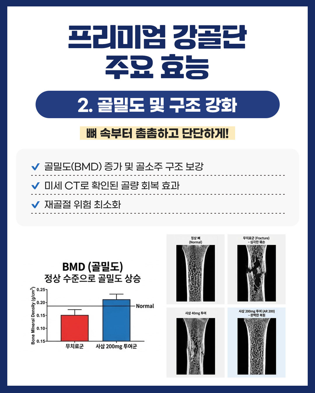 프리미엄 강골단이미지03